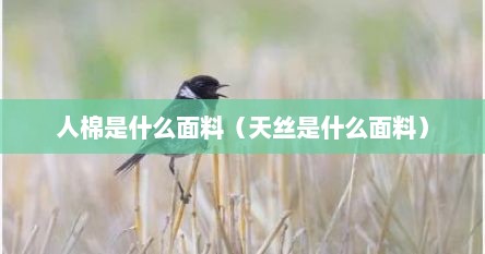 人棉是什么面料（天丝是什么面料）