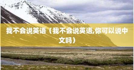 我不会说英语（我不会说英语,你可以说中文吗）