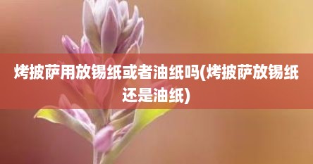 烤披萨用放锡纸或者油纸吗(烤披萨放锡纸还是油纸)