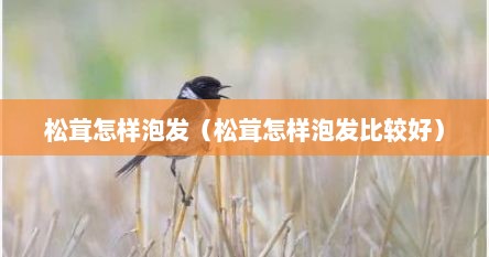 松茸怎样泡发（松茸怎样泡发比较好）