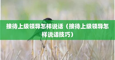 接待上级领导怎样说话（接待上级领导怎样说话技巧）