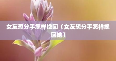 女友想分手怎样挽回（女友想分手怎样挽回她）