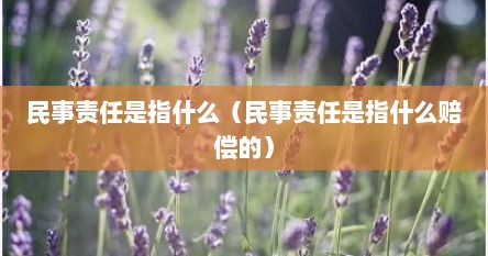 民事责任是指什么（民事责任是指什么赔偿的）