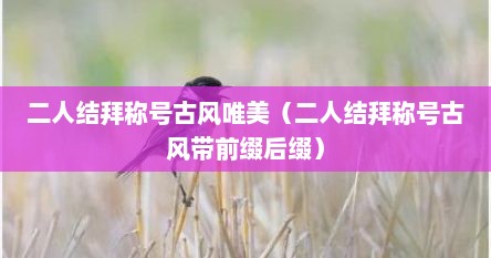 二人结拜称号古风唯美（二人结拜称号古风带前缀后缀）