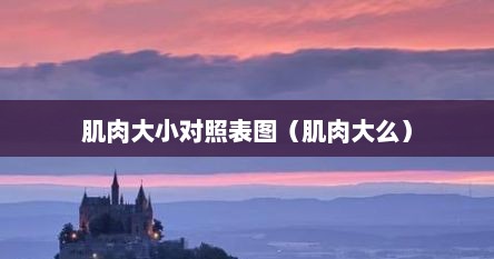 肌肉大小对照表图（肌肉大么）