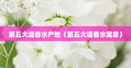 第五大道香水产地（第五大道香水寓意）