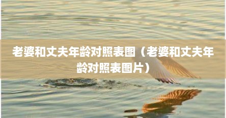 老公和老婆年龄差距多少比较适合（老婆和丈夫照片）