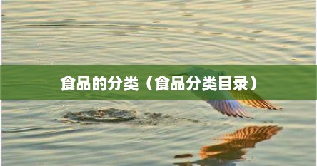 食品的分类（食品分类目录）