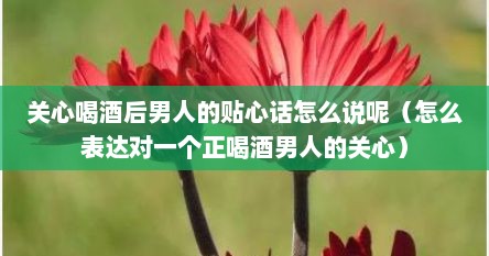 关心喝酒后男人的贴心话怎么说呢（怎么表达对一个正喝酒男人的关心）