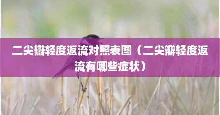 二尖瓣轻度返流对照表图（二尖瓣轻度返流有哪些症状）