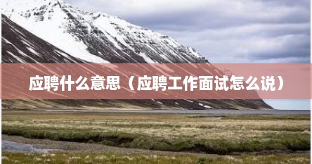 应聘什么意思（应聘工作面试怎么说）