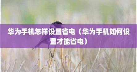华为手机怎样设置省电（华为手机如何设置才能省电）