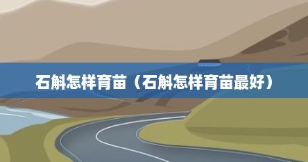 石斛怎样育苗（石斛怎样育苗最好）