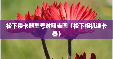 松下读卡器型号对照表图（松下相机读卡器）