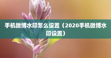 手机微博水印怎么设置（2020手机微博水印设置）