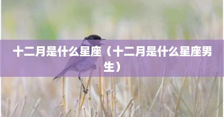十二月是什么星座（十二月是什么星座男生）