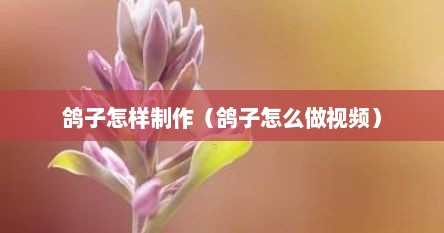 鸽子怎样制作（鸽子怎么做视频）