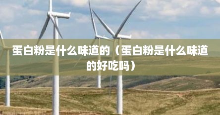 蛋白粉是什么味道的（蛋白粉是什么味道的好吃吗）