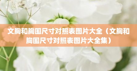 文胸尺码对照表详细图（文胸大小码表）