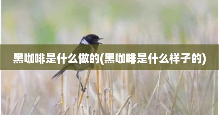 黑咖啡是什么做的(黑咖啡是什么样子的)