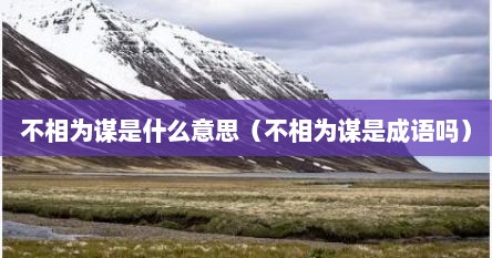 不相为谋是什么意思（不相为谋是成语吗）