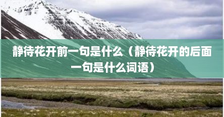 静待花开前一句是什么（静待花开的后面一句是什么词语）