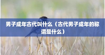 男子成年古代叫什么（古代男子成年的称谓是什么）