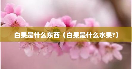 白果是什么东西（白果是什么水果?）