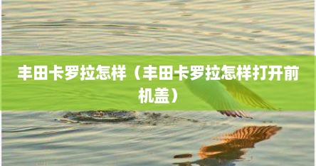 丰田卡罗拉怎样（丰田卡罗拉怎样打开前机盖）