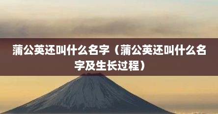 蒲公英还叫什么名字（蒲公英还叫什么名字及生长过程）