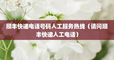 顺丰快递电话号码人工服务热线（请问顺丰快递人工电话）