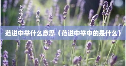 范进中举什么意思（范进中举中的是什么）
