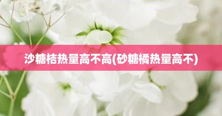 沙糖桔热量高不高(砂糖橘热量高不)