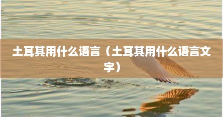 土耳其用什么语言（土耳其用什么语言文字）