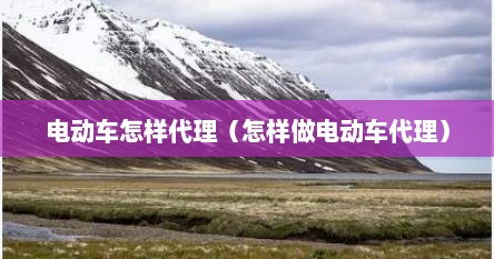 电动车怎样代理（怎样做电动车代理）