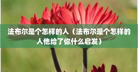 法布尔是个怎样的人（法布尔是个怎样的人他给了你什么启发）