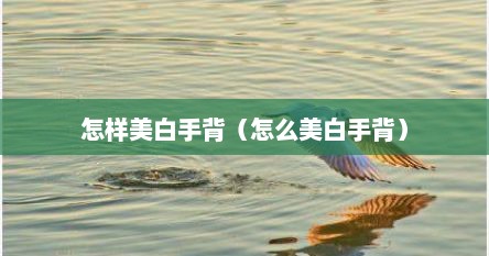 怎样美白手背（怎么美白手背）