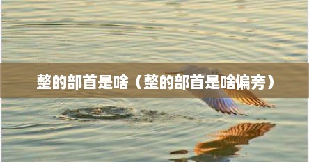整的部首是啥（整的部首是啥偏旁）