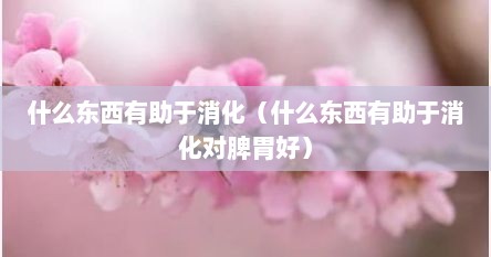什么东西有助于消化（什么东西有助于消化对脾胃好）