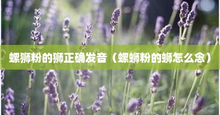 螺狮粉的狮正确发音（螺蛳粉的蛳怎么念）
