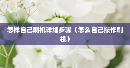 怎样自己刷机详细步骤（怎么自己操作刷机）