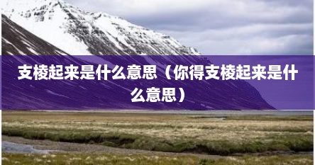 支棱起来是什么意思（你得支棱起来是什么意思）