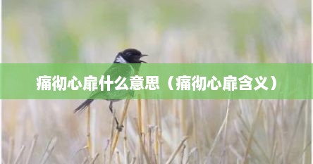 痛彻心扉什么意思（痛彻心扉含义）