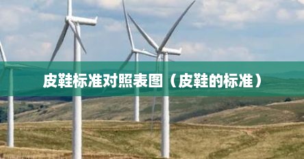 皮鞋标准对照表图（皮鞋的标准）
