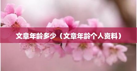 文章年龄多少（文章年龄个人资料）