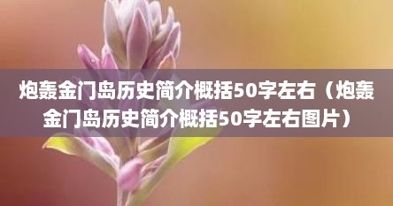 炮轰金门岛历史简介概括50字左右（炮轰金门岛历史简介概括50字左右图片）