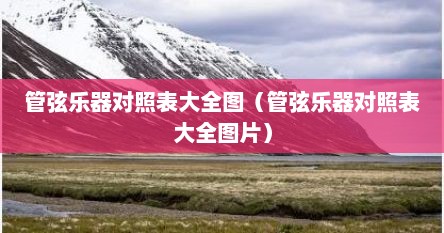 管弦乐器对照表大全图（管弦乐器对照表大全图片）