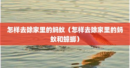 怎样去除家里的蚂蚁（怎样去除家里的蚂蚁和蟑螂）