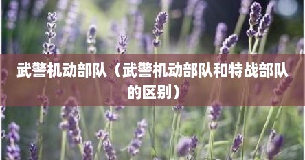 武警机动部队(武警机动部队和特战部队的区别)