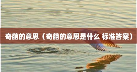 奇葩的意思（奇葩的意思是什么 标准答案）